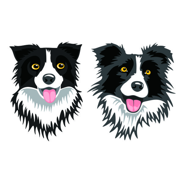 Border Collie Dog SVG Cuttable Design
